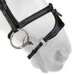 Produktbild von Silver Crown Reithalfter X-Nose ii aus Leder in Schwarz
