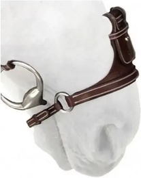 Produktbild von Silver Crown X-Nose Abnehmbares Reithalfter für Pferde aus Leder in Braun