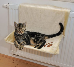 Silvio Design Heizkörperliege für Katzen aus Plüsch in Beige – Bild 1 von 3