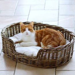 Produktbild von Silvio Design Hundekorb Strolchi aus Weide in Natur