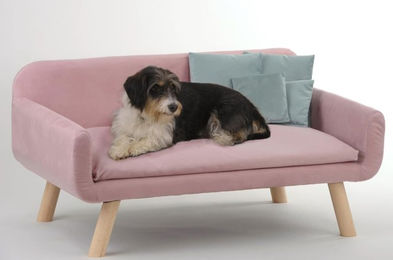 Silvio Design Hundesofa Cora Hundebett aus Holz in Rosa L60 x B103 x H50 cm – Bild 1 von 2