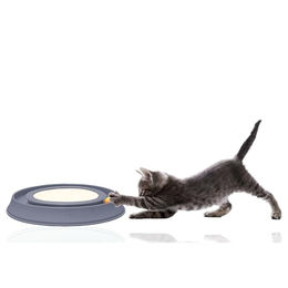 Silvio Design Intelligenzspielzeug Happy Cat Katzen Blau aus Kunststoff – Bild 1 von 6