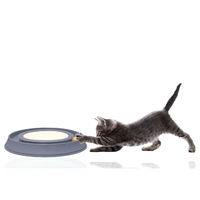 Produktbild von Silvio Design Intelligenzspielzeug Happy Cat Katzen Blau aus Kunststoff