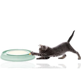 Silvio Design Intelligenzspielzeug Happy Cat Katzen Grün aus Kunststoff – Bild 1 von 6