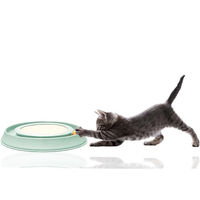 Produktbild von Silvio Design Intelligenzspielzeug Happy Cat Katzen Grün aus Kunststoff