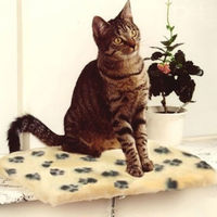 Produktbild von Silvio Design Katzen Fensterliege Hängematte aus Plüsch in Beige mit braunem Pfotenmuster
