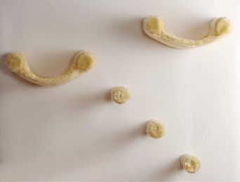 Silvio Design Katzen-Kletterwand Finja 5-teilig aus Plüsch in Beige – Bild 1 von 1