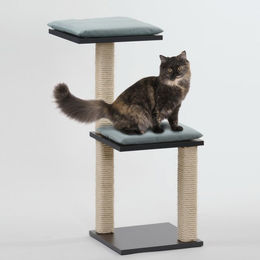 Produktbild von Silvio Design Katzenbaum Jaimie Kratzbaum für Katzen in Anthrazit mit hellblauem Kissen
