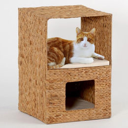 Silvio Design Kratzbaum Garry aus Bananenblatt in Natur Braun – Bild 1 von 2