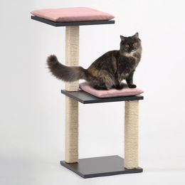 Produktbild von Silvio Design Kratzbaum Jaimie für Katzen in Anthrazit mit rosa Kissen