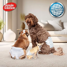 Simple Solution Einweg-Hundewindeln für Hündinnen XS/Mini wasserdicht 12er Pack – Bild 1 von 5