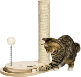 Slyrun Katzenkratzbaum für Kätzchen aus Naturholz mit Spielzeug, Kugelbahn und Federball, 35x23x40 cm – Bild 1 von 3