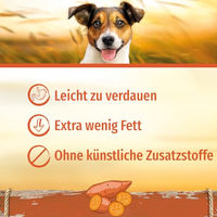 Produktbild von SmartBones Kauknochen Medium Kausnack mit Süßkartoffel für mittelgroße Hunde ohne Rohhaut 2 Stück