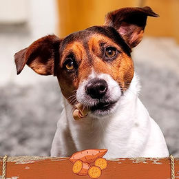 SmartBones Mini Kausnack für kleine Hunde mit Huhn und Süßkartoffel getreidefrei 128g - 8 x 128 g – Bild 1 von 5