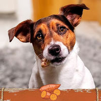 Produktbild von SmartBones Mini Kausnack für kleine Hunde mit Huhn und Süßkartoffel getreidefrei 128g - 8 x 128 g