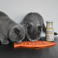 Produktbild von SmoothieCat Mix 6x 150 ml mit Huhn Ente und Fisch sowie Lickimat Orange zur Unterstützung von Immunsystem und Verdauung für Katzen