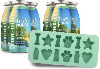 SmoothieDog Hundesmoothie Ente ohne Farb- und Aromastoffe sowie Zuckerfrei mit Silikon-Eiswürfelform Set - 6 x 250 ml – Bild 1 von 5