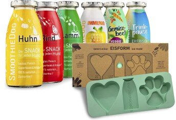 SmoothieDog Probierset Hundeeis mit Eisform und 6x 250 ml Mix aus Lamm, Rind und Huhn getreidefrei und ohne Zucker für alle Hunde - 6 x 250 ml – Bild 1 von 9