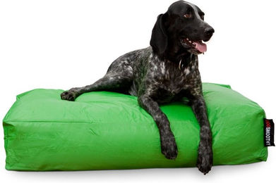 Smoothy Hundebett Classic Premium Hundekissen aus Nylon in Grün Größe L – Bild 1 von 5
