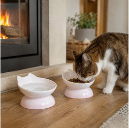 SNOEKIE Keramik Futternapf für Katzen Rosa Erhöht und Spülmaschinenfest – Bild 1 von 2