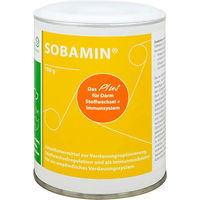 Produktbild von Sobamin Pulver 150 g