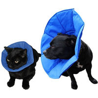 Produktbild von SoftE Smart Collar Halsband aus Stoff in Blau 10 cm