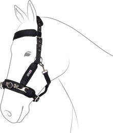 Produktbild von Softie Kappzaum Sofprene aus Neopren für Vollblut und Cob in Schwarz