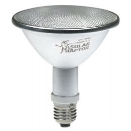 SolarRaptor HID-Spot-Strahler 70 W Weiß – Bild 1 von 1