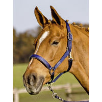 Produktbild von Solid Soft Stallhalfter Navy für Warmblut aus Nylon