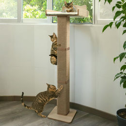 Solidchoice Fensterhalterung für Katzen mit Sisal-Kratzstange und Katzenhängematte, 135,9 cm, verstellbar – Bild 1 von 1