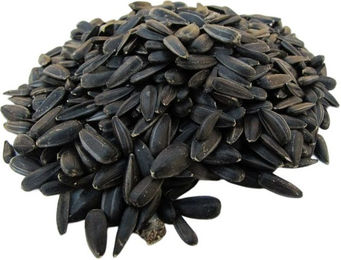 SOLIDE Sonnenblumenkerne schwarz Ganzjahresfutter für Wildvögel 12,5kg – Bild 1 von 1