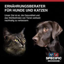 Specific Joint Support CJD Trockenfutter für erwachsene Hunde und Senioren 2kg - 2 kg – Bild 1 von 2