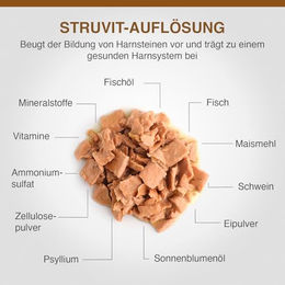 Specific Urinary Diätfutter Nassfutter für erwachsene Katzen 7 x 100 g - 7 x 100 g – Bild 1 von 4
