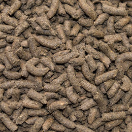 Speed Leicht Fuss Pferdefutter zur Unterstützung von Muskelaufbau und Gewichtsreduktion, 20 kg - 20 kg – Bild 1 von 2