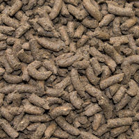 Produktbild von Speed Leicht Fuss Pferdefutter zur Unterstützung von Muskelaufbau und Gewichtsreduktion, 20 kg - 20 kg