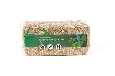 sphagnum-shop.com Sphagnum Moos aus Chile 150 g Premium Torfmoos für Terrarien und Orchideen – Bild 1 von 12