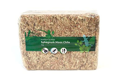 sphagnum-shop.com Sphagnum Moos aus Chile 1kg Premium Torfmoos für Terrarien und Orchideen – Bild 1 von 12