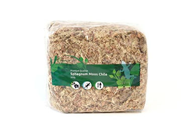 sphagnum-shop.com Sphagnum Moos aus Chile 500 g Premium Torfmoos als Substrat für Terrarien und Orchideen – Bild 1 von 6