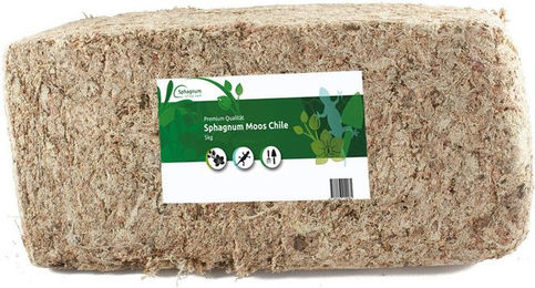 sphagnum-shop.com Sphagnum Moos aus Chile als Terrarien-Substrat für Echsen, Frösche, Schildkröten und Schlangen sowie Orchideen – Bild 1 von 5