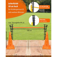 Produktbild von SPORTIKEL24 Agility Hürde aus Kunststoff mit Sprungleitern für Hundetraining in Orange