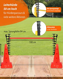 SPORTIKEL24 Agility Hürde aus Kunststoff mit Sprungleitern in Rot für Hundetraining – Bild 1 von 4