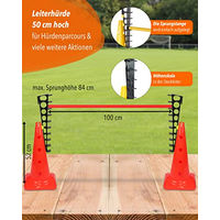 Produktbild von SPORTIKEL24 Agility Hürde aus Kunststoff mit Sprungleitern in Rot für Hundetraining
