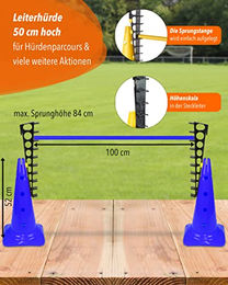 Sportikel24 Agility Hürde mit Sprungleitern für Hundetraining aus Kunststoff Blau – Bild 1 von 5