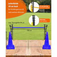 Produktbild von Sportikel24 Agility Hürde mit Sprungleitern für Hundetraining aus Kunststoff Blau