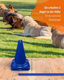 SPORTIKEL24 Agility Kegel-Hürde 30 mit 100 cm Stangen in Blau aus Kunststoff für Parcours-Training – Bild 1 von 2