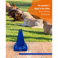 Produktbild von SPORTIKEL24 Agility Kegel-Hürde 30 mit 100 cm Stangen in Blau aus Kunststoff für Parcours-Training