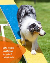 Sportikel24 Agility-Wippe für Hundetraining FCI-konform aus Metall in Gelb/Blau – Bild 1 von 5