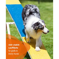 Produktbild von Sportikel24 Agility-Wippe für Hundetraining FCI-konform aus Metall in Gelb/Blau
