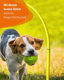 Sportikel24 Hoopers-Slalom Agility-Gerät für Hunde aus Kunststoff in Orange – Bild 1 von 4