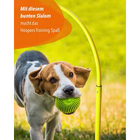 Produktbild von Sportikel24 Hoopers-Slalom Agility-Gerät für Hunde aus Kunststoff in Orange